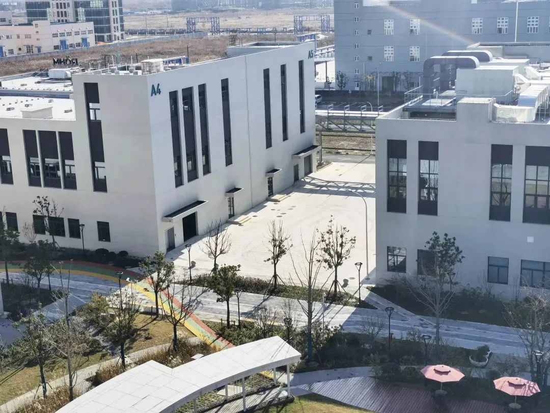 1656305905 1656305905