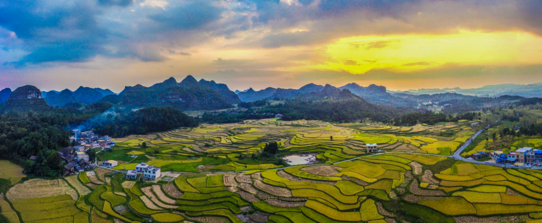 1656919333 1656919333