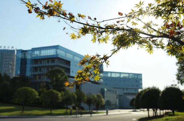 1675825072 1675825072