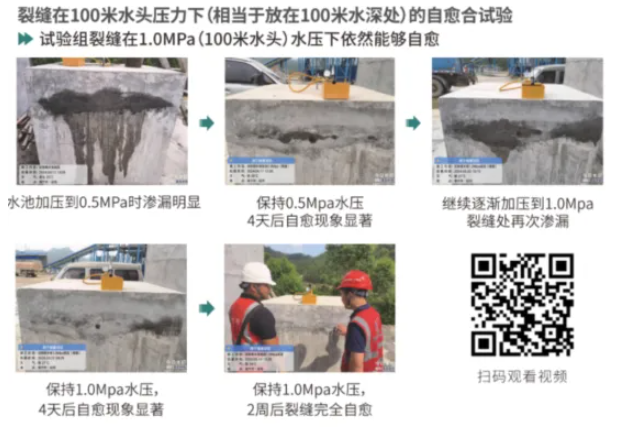 1747201003 1747201003